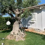 Grassi 4* Alberobello