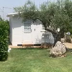 Bed & Breakfast Grassi