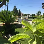 Bed & Breakfast Grassi