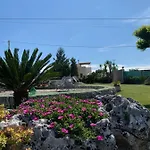 Grassi Bed & Breakfast Alberobello