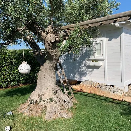 Grassi 4* Alberobello