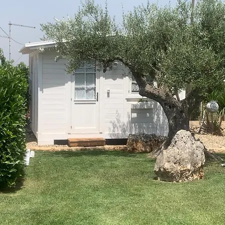 Bed and breakfast Grassi
