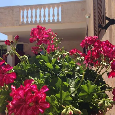 Bed & Breakfast Grassi 4*