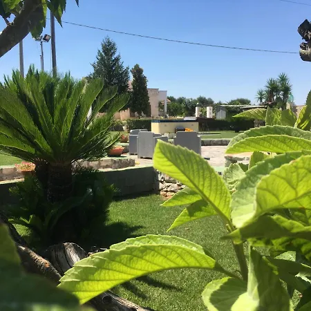 Bed & Breakfast Grassi